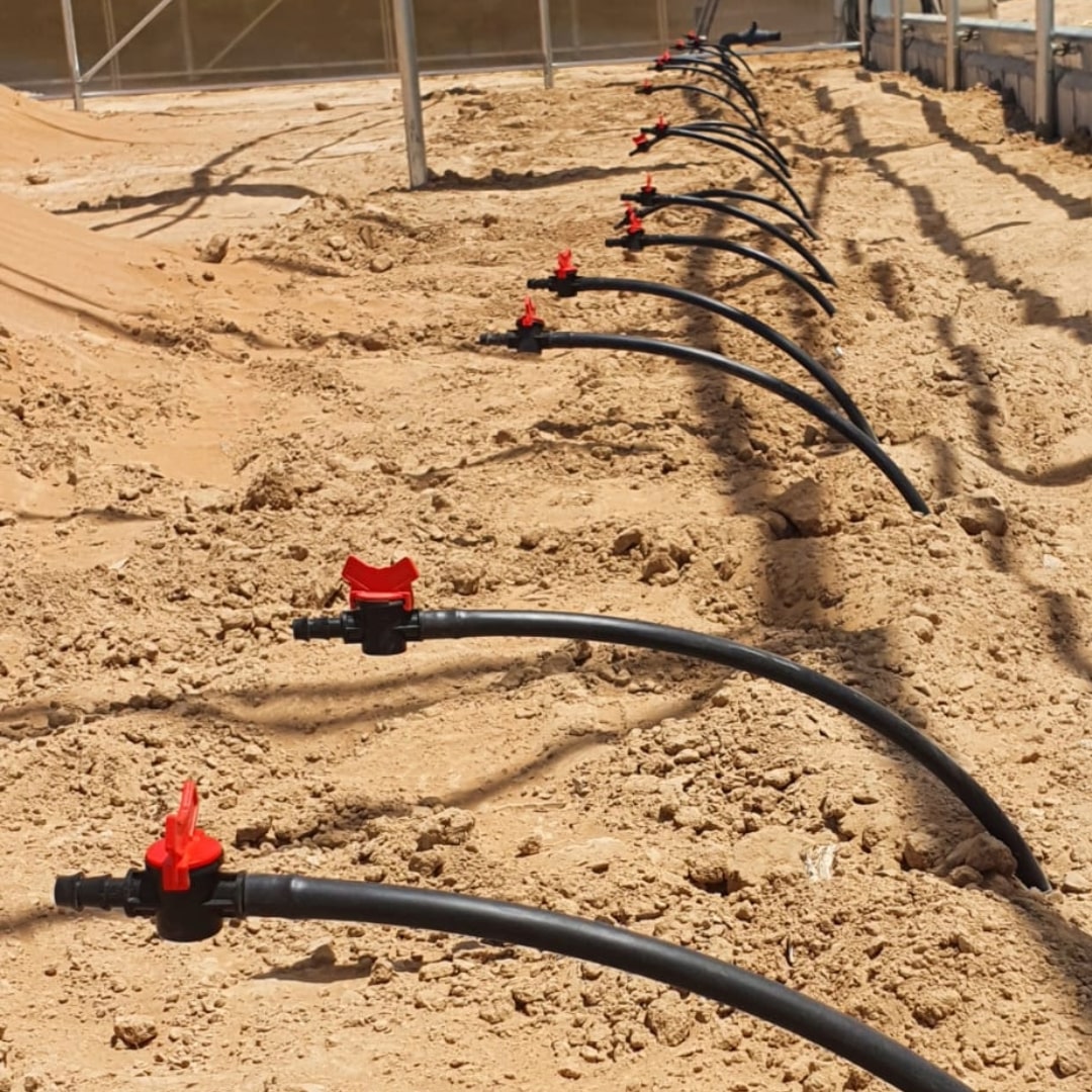 Irrigation